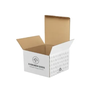 Hộp Carton Nắp Gài