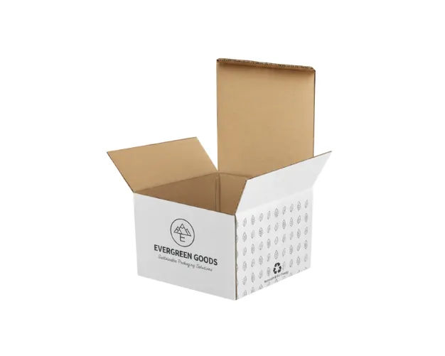 Hộp Carton Nắp Gài